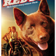 photo du film Red dog