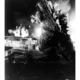 photo du film Godzilla : King of the Monsters