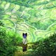 photo du film Budori, l'étrange voyage