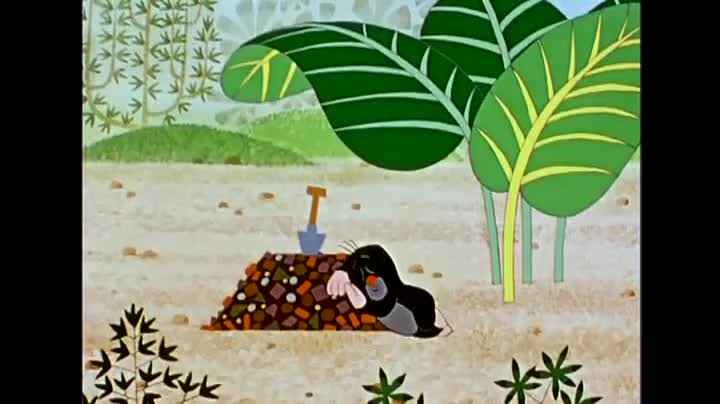 Un extrait du film  Le Carnaval de la petite taupe