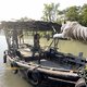 photo du film ROAR - Les Tigres des Sunderbans