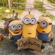 photo du film Les Minions