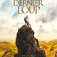 photo du film Le Dernier loup