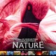 photo du film Nature