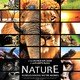 photo du film Nature