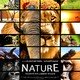 photo du film Nature