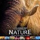 photo du film Nature