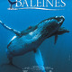 photo du film Baleines
