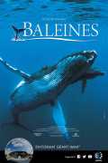 voir la fiche complète du film : Baleines