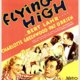 photo du film Flying High