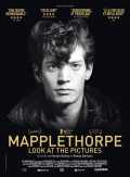 Mapplethorpe : Look at the Pictures