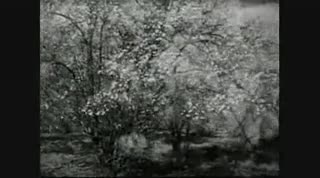 Extrait vidéo du film  Le chant du printemps