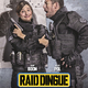 photo du film Raid dingue