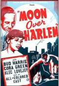 Moon Over Harlem