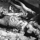 photo du film Motor Psycho