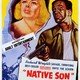 photo du film Un enfant du pays/Sang noir