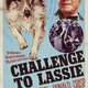 photo du film Le Défi de Lassie