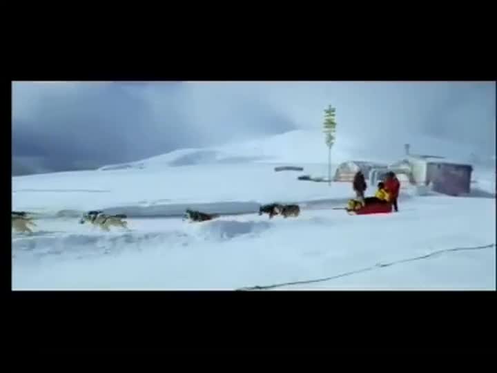 Extrait vidéo du film  Antartica, prisonniers du froid