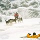 photo du film Antartica, prisonniers du froid