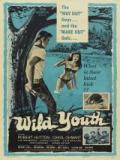 voir la fiche complète du film : Wild Youth