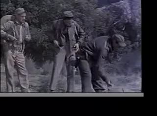 Extrait vidéo du film  World Without End