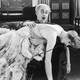 photo du film The Duchess of Buffalo