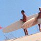 photo du film The Endless Summer