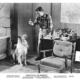 photo du film The Astounding She-Monster