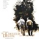 photo du film La Couleur du destin