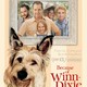 photo du film Winn-Dixie mon meilleur ami