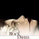 photo du film Le Dahlia noir