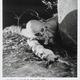 photo du film Le Retour des morts-vivants