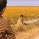 photo du film Mémoires de meurtre