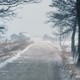 photo du film Mon île Fårö