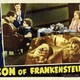 photo du film Le fils de Frankenstein