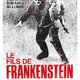 photo du film Le fils de Frankenstein