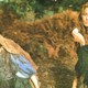 photo du film La Belle Et Le Cavalier