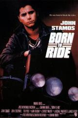 voir la fiche complète du film : Born To Ride