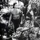 photo du film Le Triomphe De Tarzan