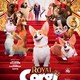 photo du film Royal Corgi