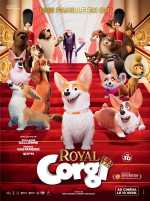 Royal Corgi