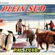 photo du film Plein sud