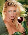 Brande Roderick