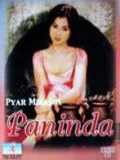 voir la fiche complète du film : Paninda