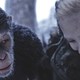 photo du film La Planète des singes - Suprématie