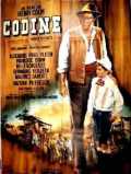 Codine