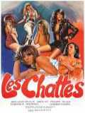 voir la fiche complète du film : Désirella