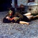 photo du film Le Lac des morts vivants