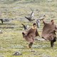 photo du film Donne-moi des ailes