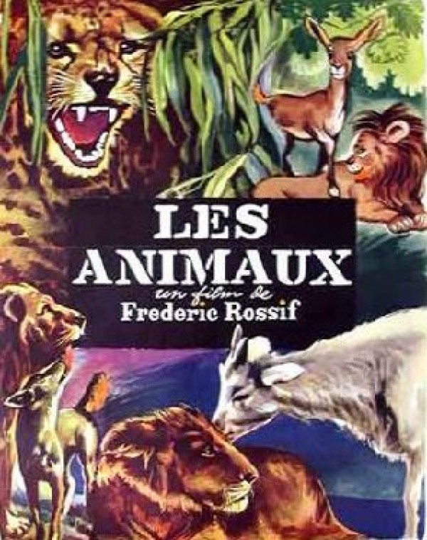 voir la fiche complète du film : Les Animaux